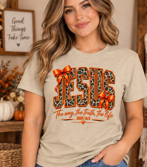 Jesus The Way, The Truth, The Life Charcoal Tee — Sand Gildan Softstyle