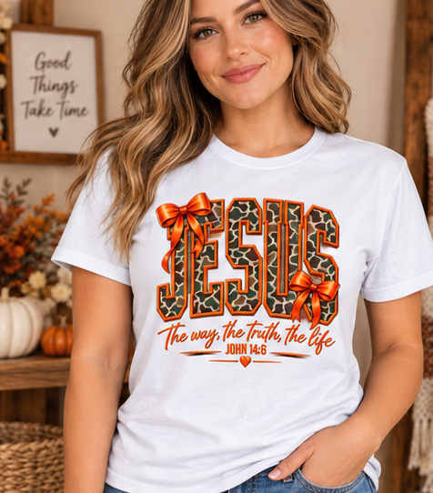 Jesus The Way, The Truth, The Life Charcoal Tee — White Gildan Softstyle