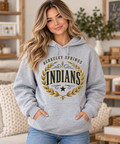 Berkeley Springs Indians Vintage Laurel Sport Gray Hoodie