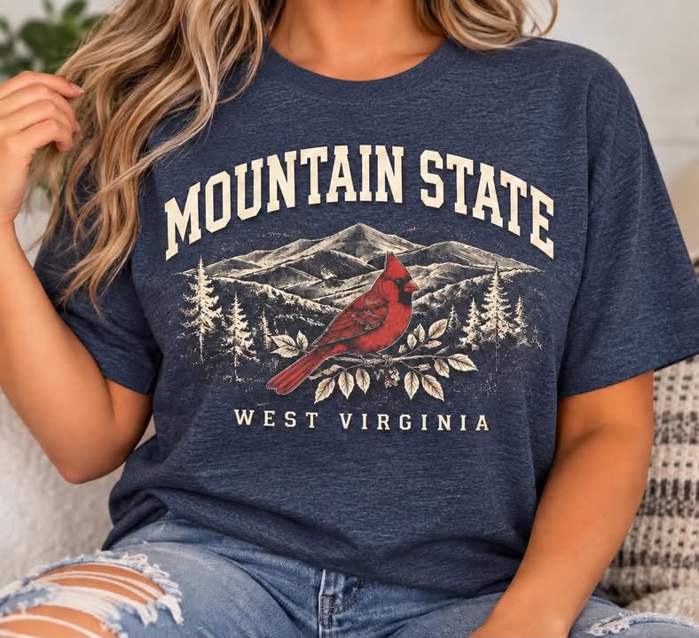 Mountain State West Virginia cardinal navy heather T-shirt