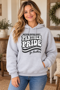 Northern Bedford County Panther Pride Retro Ash Gray Hoodie
